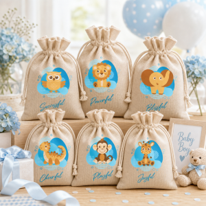 Baby Boy Baby Shower Favors – Set of 6 Small Pouches